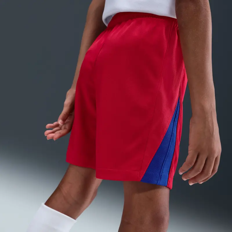 psg-nike-third-stadium-shorts-2025-26-kids-202665692 Collection | PSG Fanshop